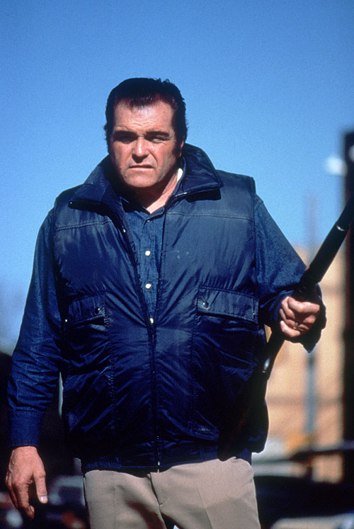 In Broad Daylight - Photos - Brian Dennehy