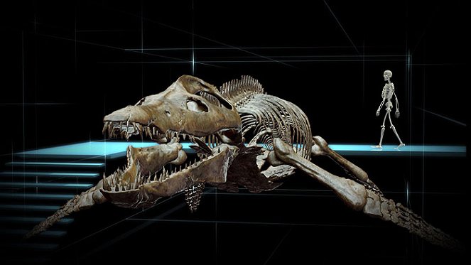 Sea Rex 3D: Journey to a Prehistoric World - Z filmu
