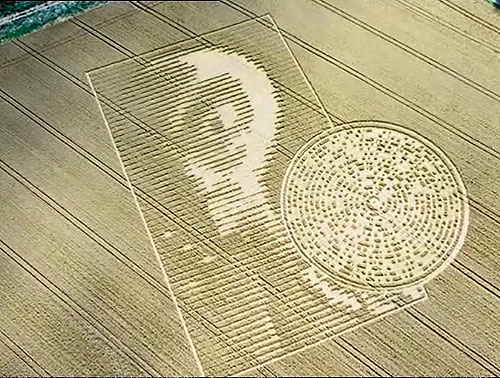Kruhy v obilí - Z filmu