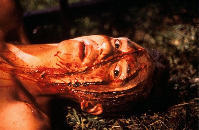 A Nightmare on Elm Street Part 2: Freddy's Revenge - Van film