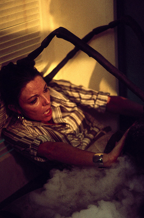 In der Gewalt der Riesenameisen - Filmfotos - Joan Collins