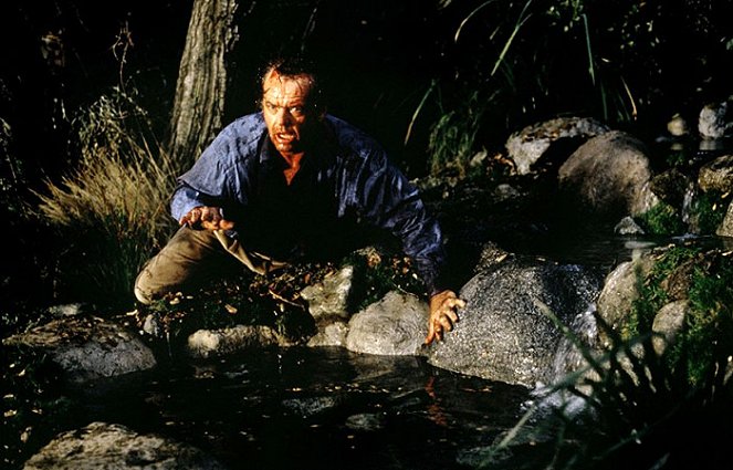 Wolf - Film - Jack Nicholson