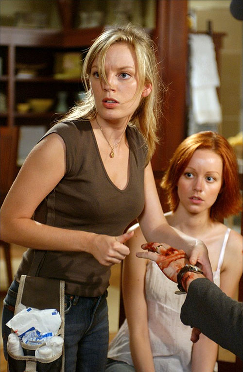 Dawn of the Dead - Van film - Sarah Polley, Lindy Booth