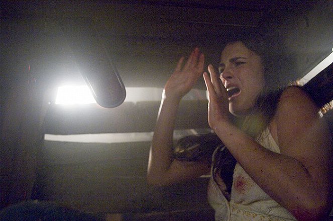 The Texas Chainsaw Massacre: The Beginning - Van film - Jordana Brewster