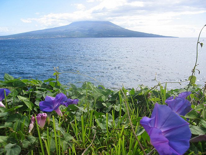 Azores, Paradise in endless Blue, The - Filmfotók