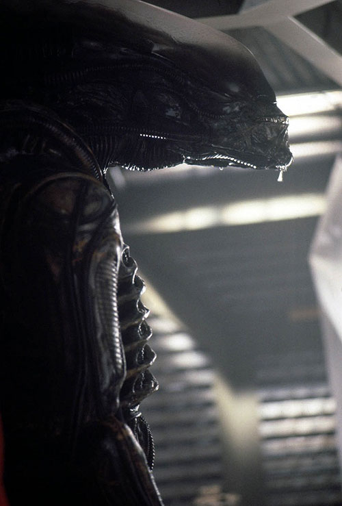 Alien - kahdeksas matkustaja - Kuvat elokuvasta