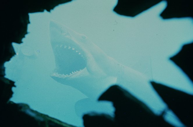 O Tubarão - Do filme