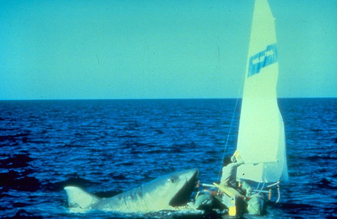 Jaws 2 - Van film