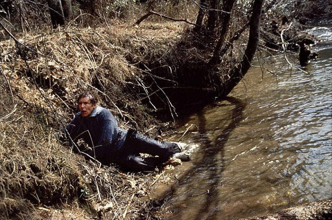 O Fugitivo - Do filme - Harrison Ford