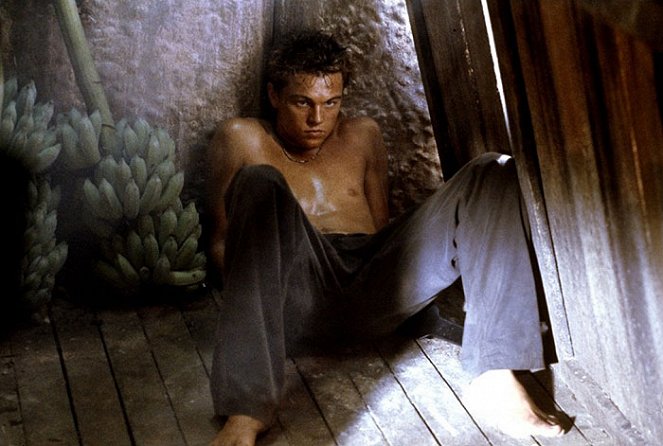 A part - Filmfotók - Leonardo DiCaprio
