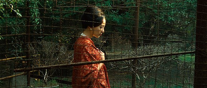 Lei wangzi - De la película