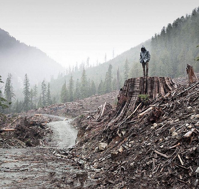 If a Tree Falls: A Story of the Earth Liberation Front - Photos
