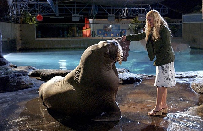 50 First Dates - Photos - Drew Barrymore