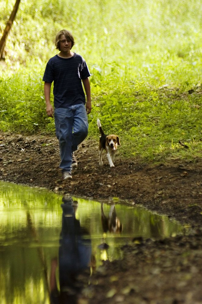 Csavargó kutya 3.: A legújabb kaland - Filmfotók - Jason Dolley