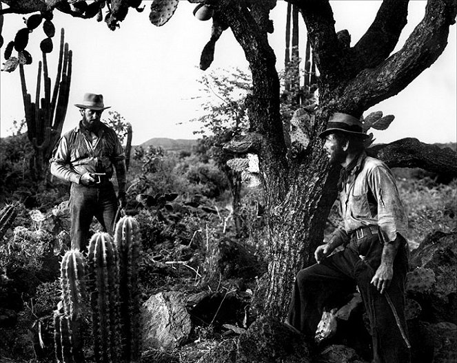 Der Schatz der Sierra Madre - Filmfotos - Tim Holt, Humphrey Bogart