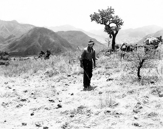 O Tesouro da Sierra Madre - Do filme - Humphrey Bogart