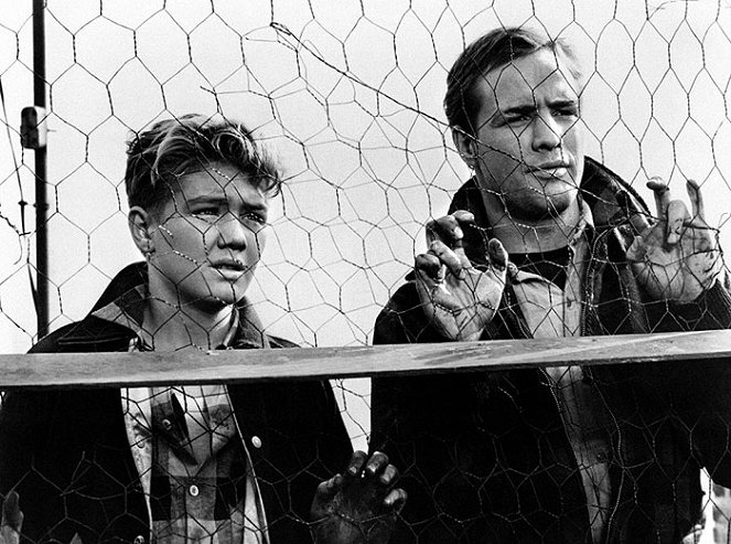 Alaston satama - Kuvat elokuvasta - Marlon Brando