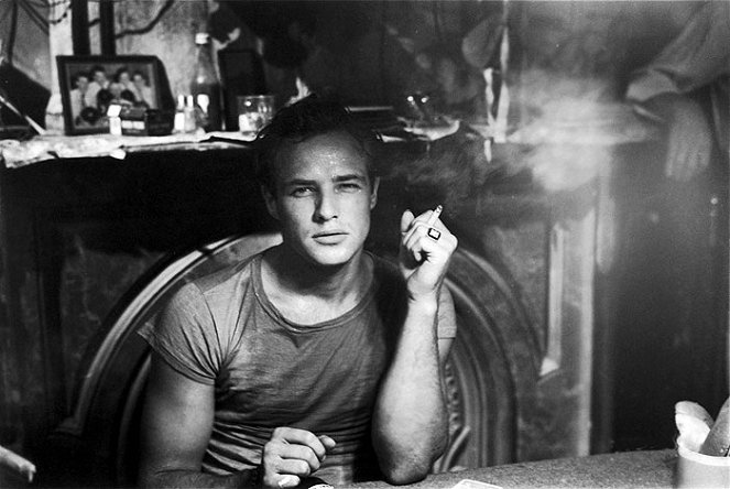 Un tramway nommé Désir - Photos - Marlon Brando