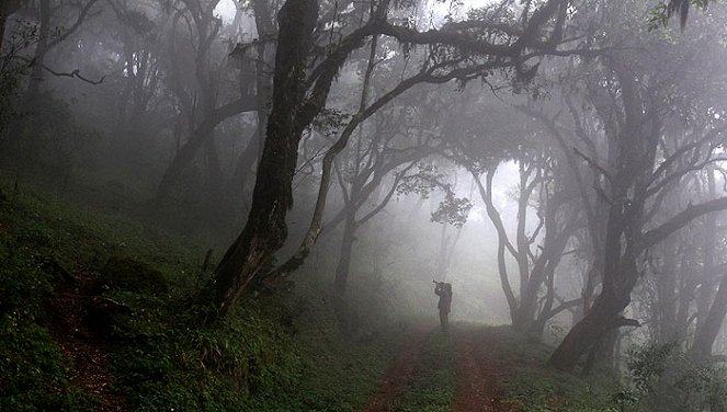 Africa obscura - De la película