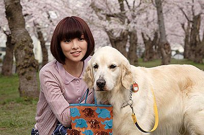 10 Promises to My Dog - Photos - 田中麗奈