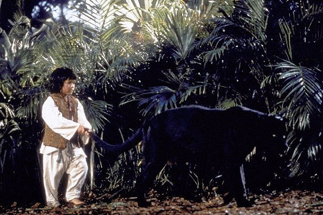 The Jungle Book - Van film