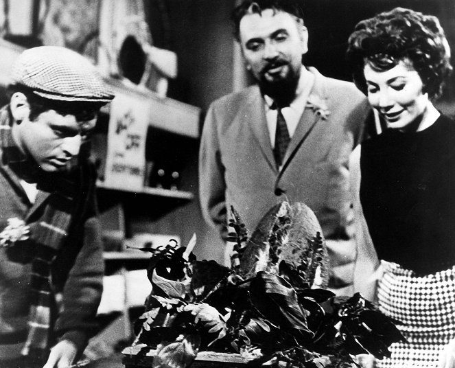 La Petite Boutique des horreurs - Film - Jonathan Haze, Mel Welles, Jackie Joseph