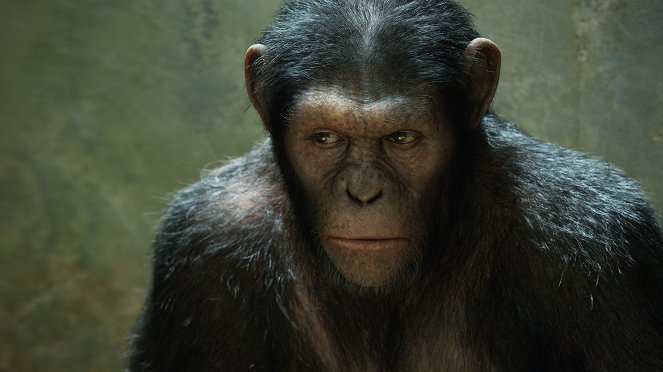 A majmok bolygója: Lázadás - Filmfotók