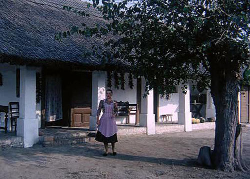 Árvácska - Kuvat elokuvasta