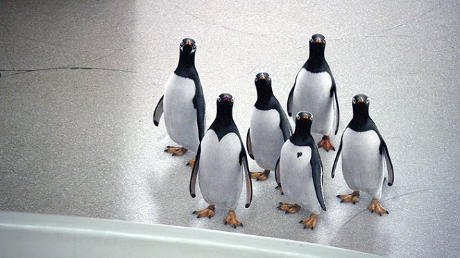 Los pingüinos del sr. Poper - De la película