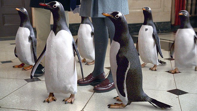 Mr. Popper's Penguins - Do filme