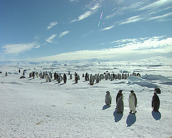 Mondo misterioso: Antarctic - De la película