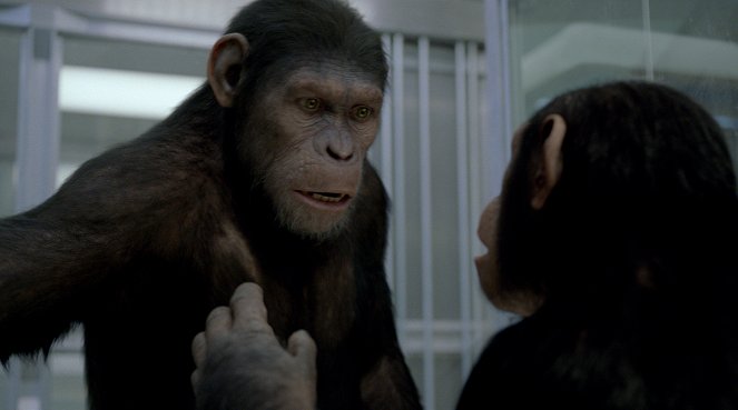 Rise of the Planet of the Apes - Photos