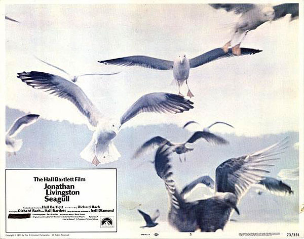 Jonathan Livingston Seagull - Lobby karty