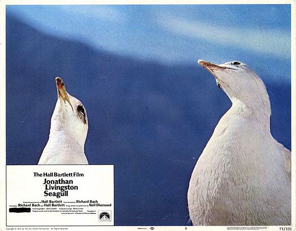 Jonathan Livingston Seagull - Lobbykaarten