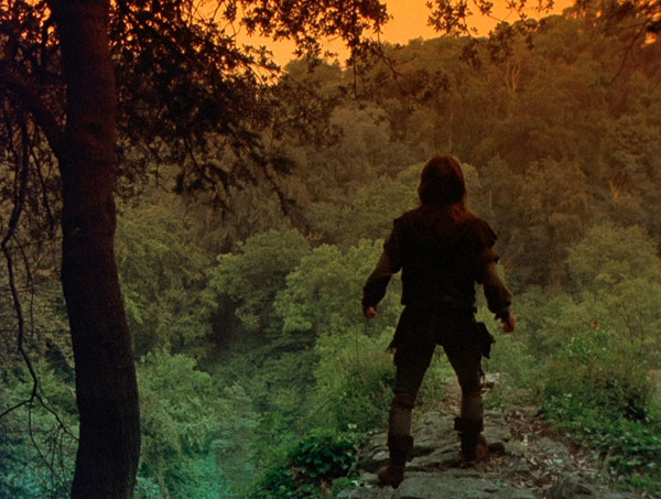 Robin of Sherwood - Film