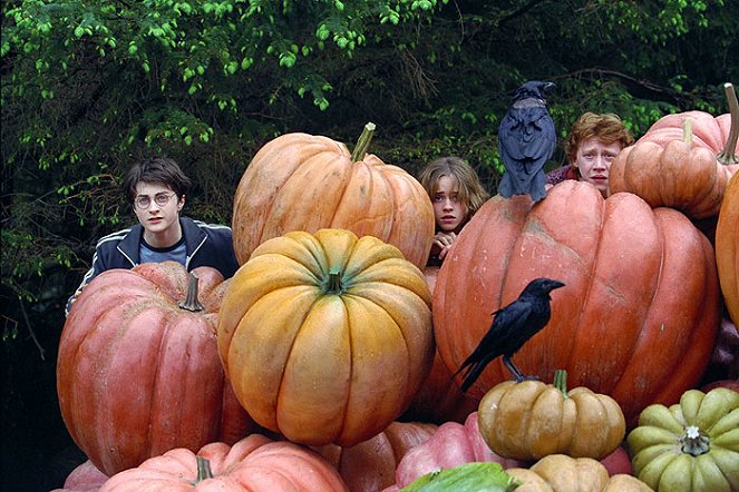 Harry Potter und der Gefangene von Askaban - Filmfotos - Daniel Radcliffe, Emma Watson, Rupert Grint