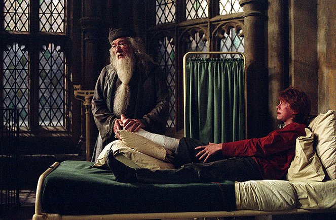 Harry Potter a väzeň z Azkabanu - Z filmu - Michael Gambon, Rupert Grint