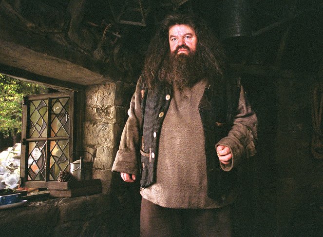 Harry Potter e o Prisioneiro de Azkaban - Do filme - Robbie Coltrane