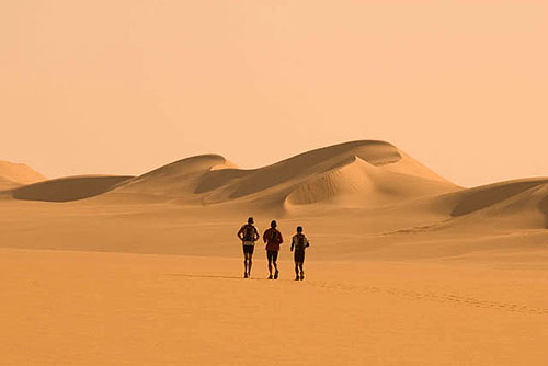 Running the Sahara - Van film