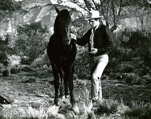 The Lion and the Horse - Film - Steve Cochran