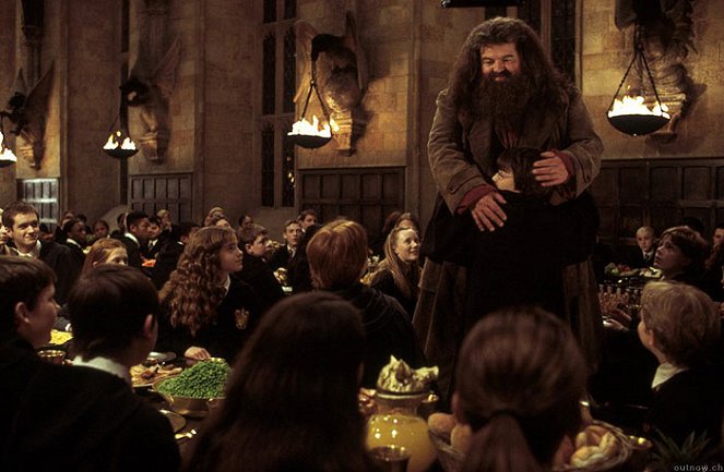 Harry Potter y la Cámara Secreta - De la película - Sean Biggerstaff, Emma Watson, Robbie Coltrane
