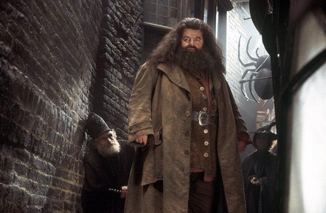 Harry Potter e a Câmara dos Segredos - Do filme - Robbie Coltrane