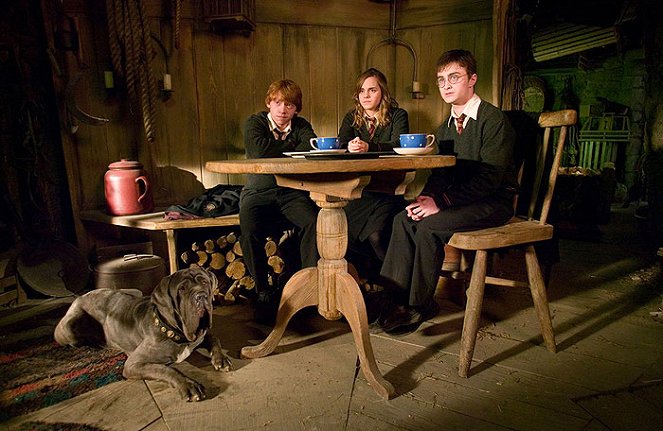 Harry Potter és a Főnix rendje - Filmfotók - Rupert Grint, Emma Watson, Daniel Radcliffe