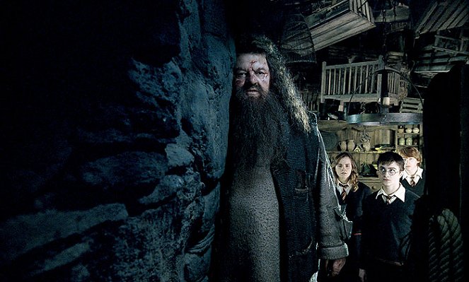 Harry Potter és a Főnix rendje - Filmfotók - Robbie Coltrane, Emma Watson, Daniel Radcliffe, Rupert Grint