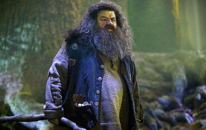 Harry Potter and the Order of the Phoenix - Van film - Robbie Coltrane