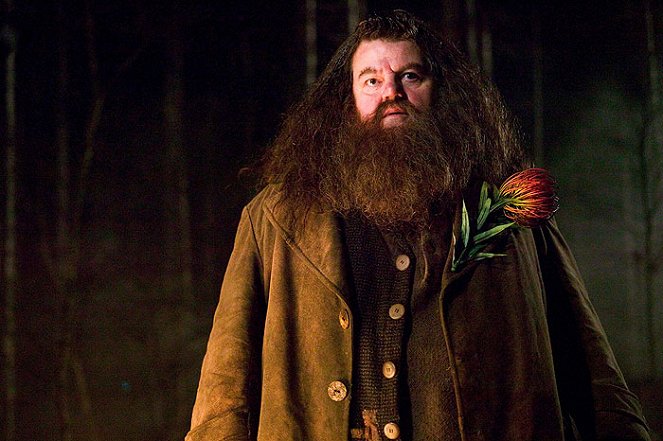 Harry Potter and the Goblet of Fire - Photos - Robbie Coltrane
