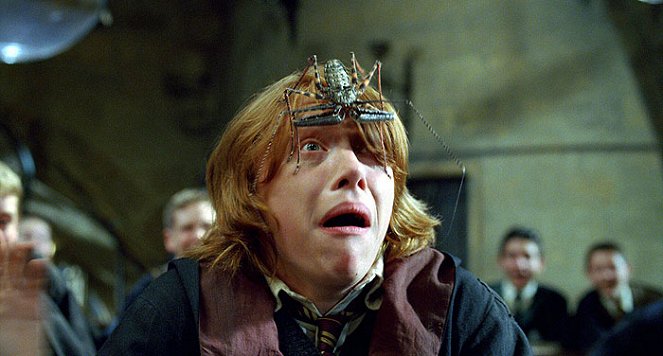 Harry Potter i Czara Ognia - Z filmu - Rupert Grint