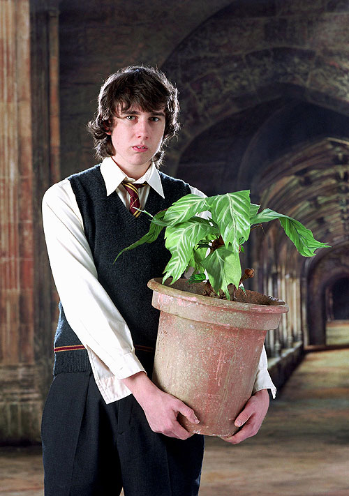 Harry Potter y el Cáliz de Fuego - Promoción - Matthew Lewis