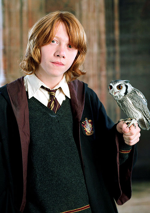 Harry Potter and the Goblet of Fire - Promo - Rupert Grint