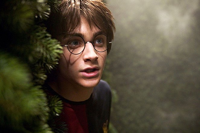 Harry Potter e o Cálice de Fogo - Do filme - Daniel Radcliffe